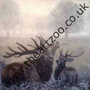Morning Mist