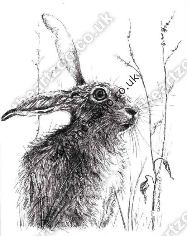Hare in Field - Original Artwork