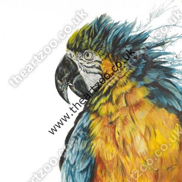 Pete the Parrot