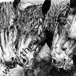 Horse Trio