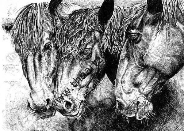 Horse Trio