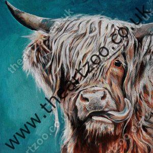 Highland Cow - Hector