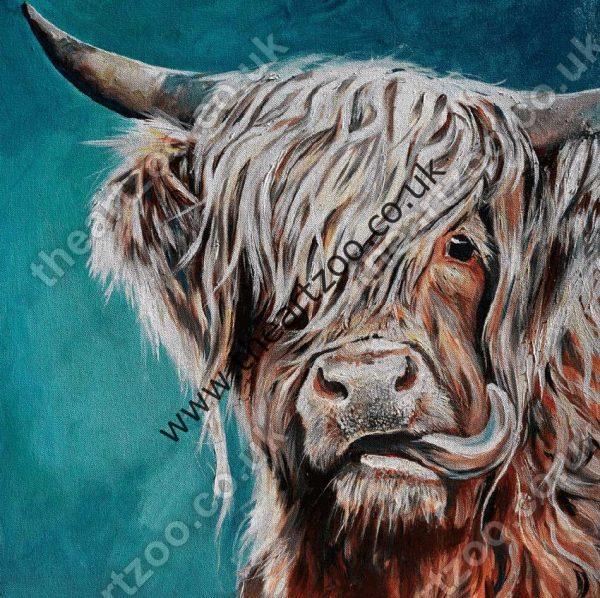 Highland Cow - Hector