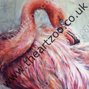Flamingo - Felicity