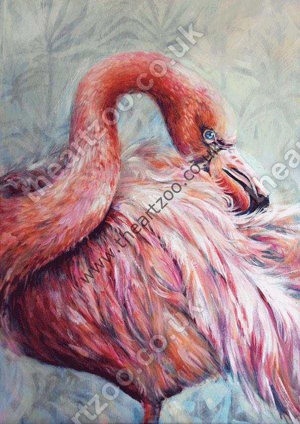 Flamingo - Felicity