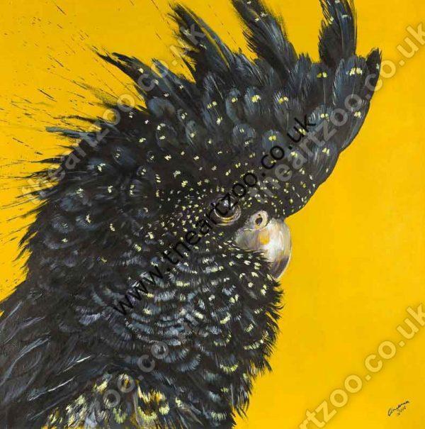 Colin the Cockatoo