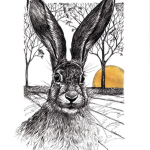 Rising Sun - Hare2