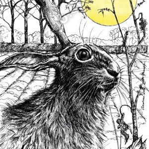 Rising Sun - Hare3