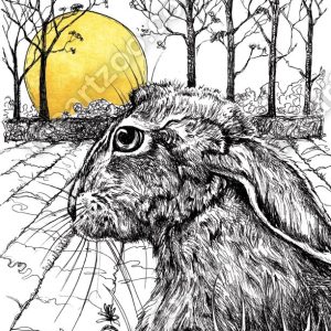 Rising Sun - Hare1