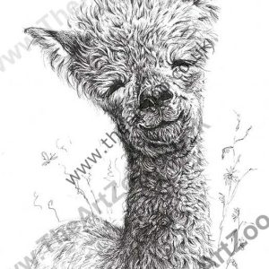 'Little Al'