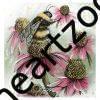 bee and clovers