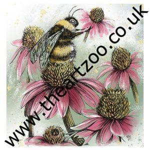 bee and clovers