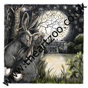 moonandback